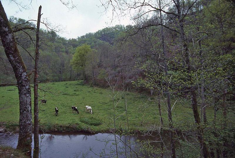 WT 2500 317-06 France 92.jpg